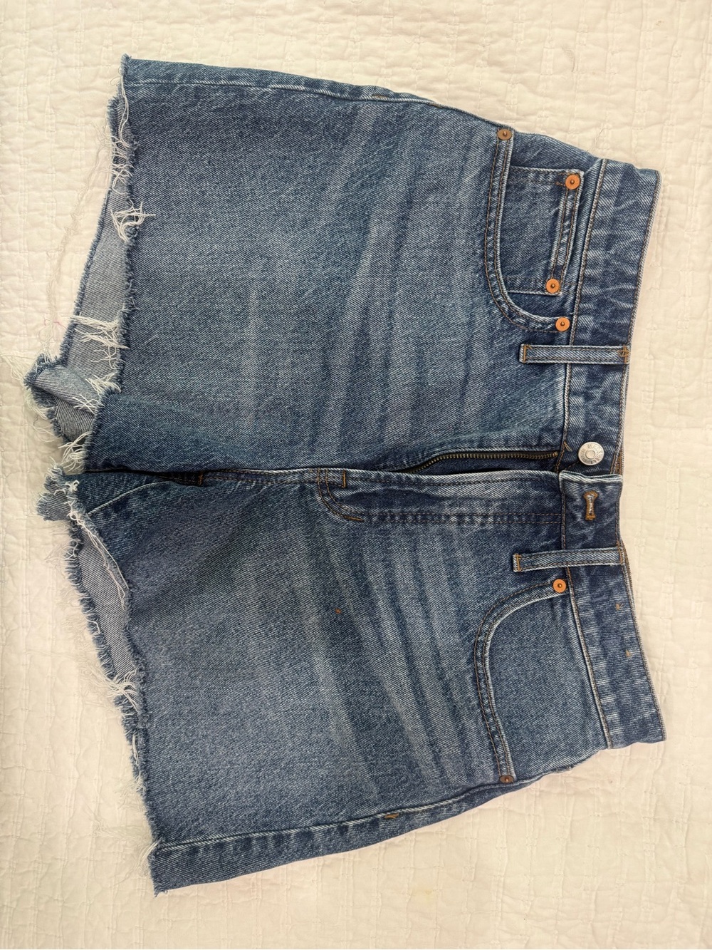 Madewell Size 29 Denim Women's Shorts with Frayed Hem